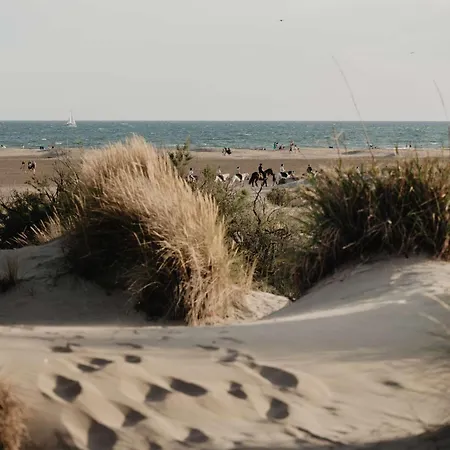 Double Avec Piscine Et Climatisation Pour 4 Pers. - Fr-1-307-278 르그로뒤후아